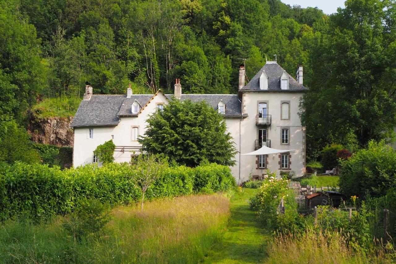 Domaine De La Jordanne - B&B Saint-Cirgues-de-Jordanne Экстерьер фото